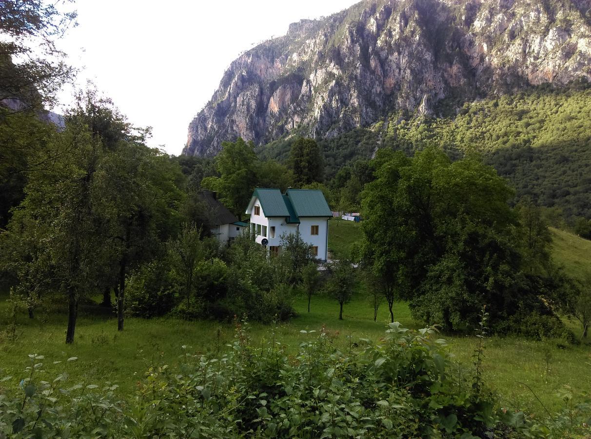 Montana *